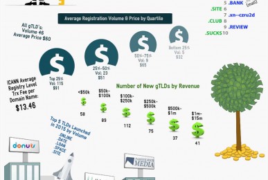 gTLD Industry Overview 2015